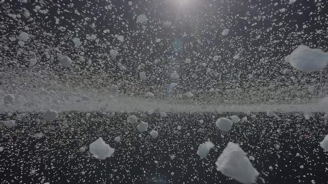 A field of white fluff against a dark, starry background