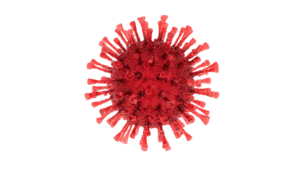 A detailed 3D render of a red coronavirus particle, featuring its characteristic spike proteins, against a solid transparent background, illustrating its viral structure. background removed