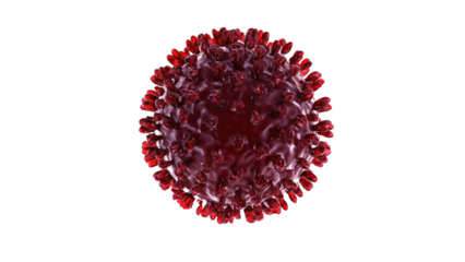 A detailed 3D rendering of a red coronavirus particle, resembling SARS-CoV-2, showcasing its spike proteins and viral structure. background removed