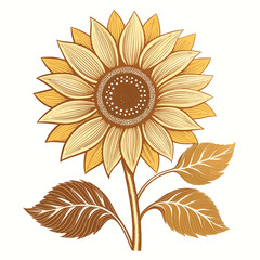 Vintage style illustration of a single sunflower