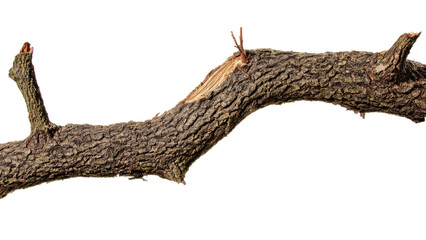 Fototapeta premium A brown, gnarled tree branch with rough bark and snapped ends, revealing raw wood, isolated on a transparent background. background removed