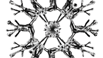 Microscopic render of a complex central cell with numerous spiky and branching dendrite-like extensions, creating a symmetrical biological or abstract pattern in grayscale. background removed