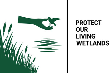 Protect our living wetlands conservation hand releasing bird over rippling water and reeds
