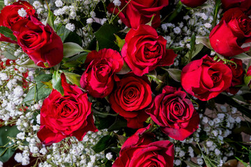 Classic Red Roses Bouquet — Romantic Valentine Floral Close-Up