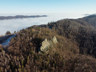 Aerial view of rugged rock formations amidst dense, leafless forest. Scene bathed in crisp daylight, with rolling hills and sea of clouds in background. Carpathian mountains, Ukraine.