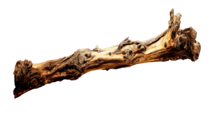A long, gnarled piece of aged wood or driftwood, showcasing intricate textures, natural patterns, and varying brown tones against a solid transparent background. background removed