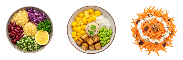 Set of various couscous bean red cabbage bowls rice tofu mango edamame bowls and carrot raisin yogurt salads isolated on transparent background