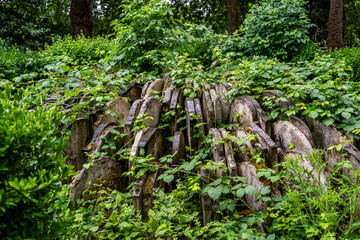 Historic gravestones arranged around the base of the fallen Hardy Tree at St Pancras Old Church cemetery, linked to writer Thomas Hardy, Camden, London.