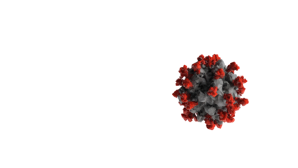 3D rendering of a virus particle, resembling SARS-CoV-2, with grey polygonal body and numerous red spike proteins. background removed