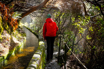 Tourist on Levada do Norte on the Portuguese island of Madeira. Levada irrigation canal. Hiking in Madeira. Narrow path next to the levada. Green mountains and ocean in background.