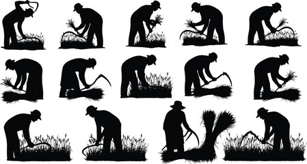 Harvest, sickle, crop, silhouette, posture, gesture, bend, cut, bundle, rural, manual, labor, field, agriculture, traditional, vector, black, pose, setup, flavector