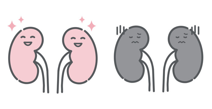 健康な腎臓と不調な腎臓の比較イラスト（キャラクター）