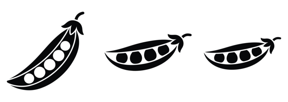 Fresh pea pods in minimalist black and white design create a natural and organic feel for healthy eating promotions and springtime menus, perfect for culinary designs and vegetarian themes