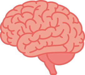 Simple flat illustration of the human brain in soft pink colors, anatomy graphic for medical education, neuroscience, psychology, health awareness and research designs