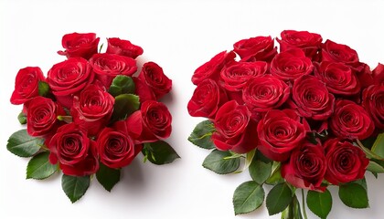 bouquet of red roses