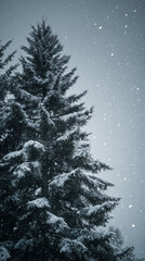 Obraz premium christmas tree in snow, snowy pine forest, winter falling snow, quiet frosty evergreen 