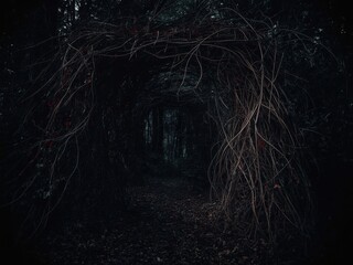 Mysterious dark forest pathway overgrown with twisted vines and branches creating an eerie archway
