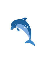 dolphin jumping