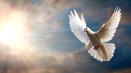 White dove flying high in a bright sky