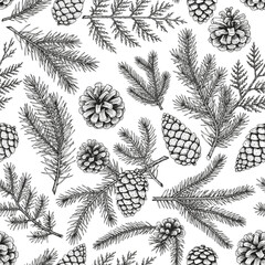 Fototapeta premium Isolated a hand drawn ink decorative wrapping paper or textile print design in seamless pattern with pinecones and coniferous branches Vector art with white background ..