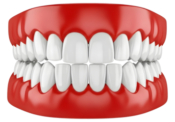 Full set of white dentures isolated on transparent background