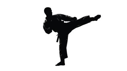 Man performing a high kick in martial arts uniform