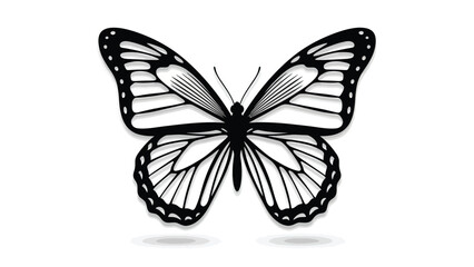 Beautiful black and white butterfly illustration