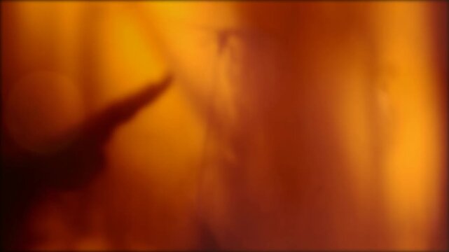 Shadow of dancing woman, hand and shadow of dragonfly in glowing blurred light. Her carefree demeanor embodies freedom and happiness. Moment of the silence. Cinematic effect. Sustainable lifestyle