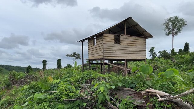 Wooden garden hut in a sunny rural landscape, surrounded by green plants and natural scenery. A peaceful farm setting with bright daylight and a calm outdoor atmosphere.