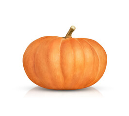 one orange pumpkin is highlighted on a transparent background
