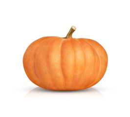 one orange pumpkin is highlighted on a transparent background