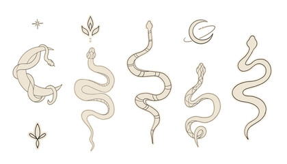 Celestial snake kundalini line tattoo. Black serpent silhouette with stars. Magic animal symbol. Esoteric, witchcraft design. Vector illustration