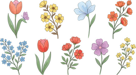 Colorful botanical flower collection, tulip, butterfly, blue blossom, yellow branch, red petals, nature illustration, spring floral design