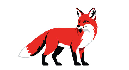 Obraz premium Stylized flat vector illustration of a clever red fox with a bushy white-tipped tail standing and looking over its shoulder.