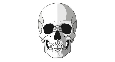 A stylized human skull shown from the front with detailed teeth.