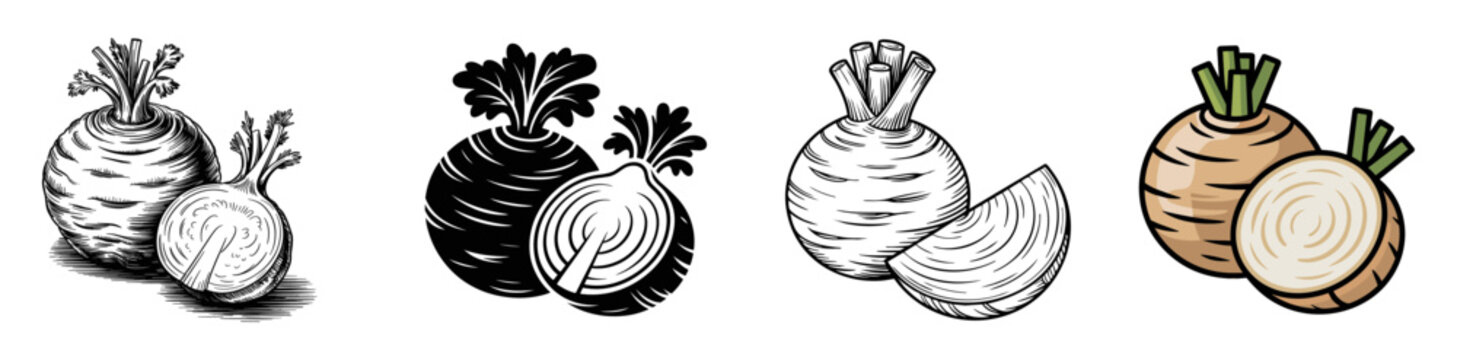 celeriac set with engraved, silhouette, outline and color symbols, vector collection