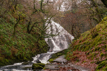 Anglesey, fence, flood, flooding, gate, rainbow, tree, water, landscape, lake, nature, river, sky, blue, reed, reflection, trees, winter, marsh, swamp, grass, scenic, natural, outdoors, rural