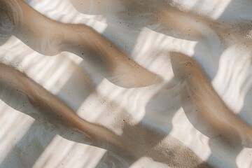 Warm light creates shadow patterns on a sandy surface, showing an interplay between light and shadow. The shapes are fluid and dynamic in appearance under gentle light