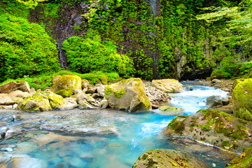 Naklejka premium 栃木県那須塩原市 緑の渓谷を流れるスッカン沢