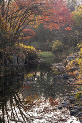 紅葉と岩肌が彩る嵐山渓谷を静かに流れる槻川