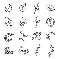 Collection of hand drawn botanical elements and eco friendly icons