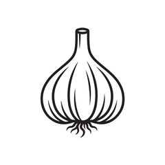 Garlic Bulb Line Art Minimal Vegetable Illustration Vector