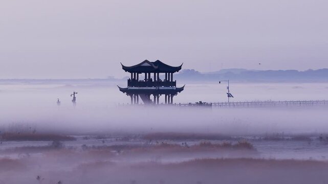 Sunrise over Poyang Lake wetlands, flocks of migratory birds, geese, and white storks