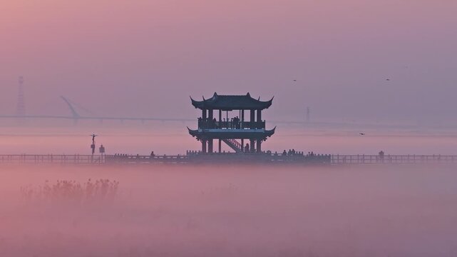 Sunrise over Poyang Lake wetlands, flocks of migratory birds, geese, and white storks
