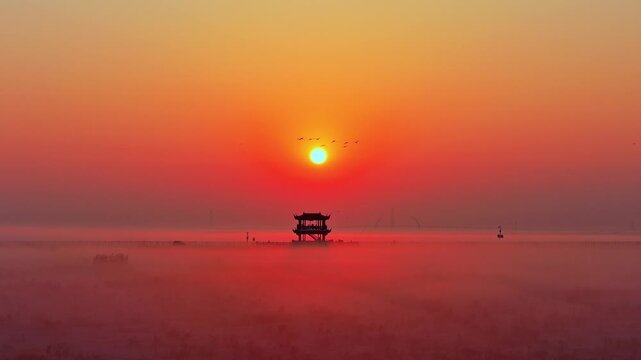 Sunrise over Poyang Lake wetlands, flocks of migratory birds, geese, and white storks