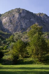 Landscape of mountain view with green grass
