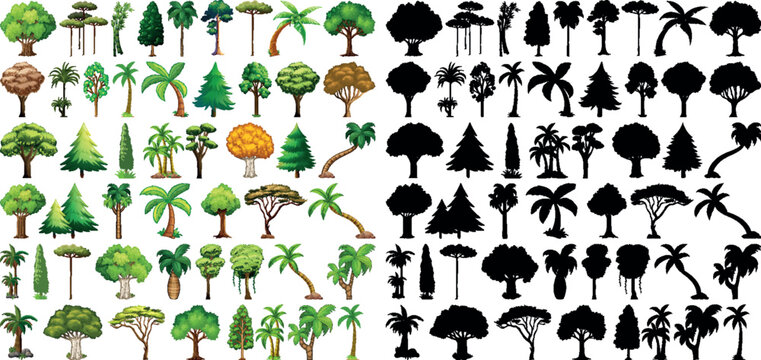 Diverse deciduous and evergreen trees illustration pack vector