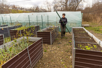 Woman gardening in an outdoor farm