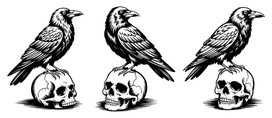Three detailed black and white illustrations of crows perched atop human skulls, conveying themes of mortality, mystery, and gothic aesthetics.
