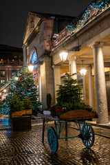 Walking on streets of Central London in Covent Garden decorated with Christmas lighting and green Christmas trees with garlands, December holidays in England